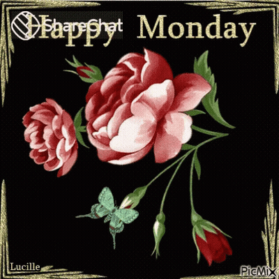 Flowers Saying Happy Monday GIF