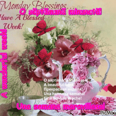 Flowers Saying Monday Blessings GIF