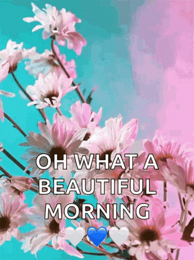 Flowers Saying Oh What A Beautiful Morning GIF