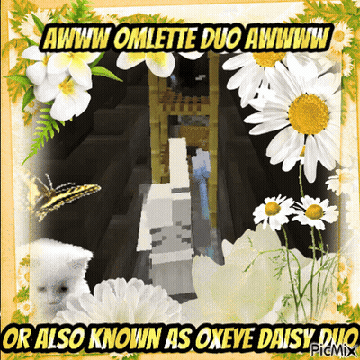 Flowers With Awww Omlette Duo Awwww Oxeye Daisy Duo GIF