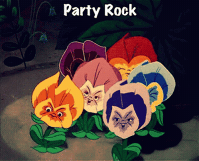 Flowers with Faces Party Rock