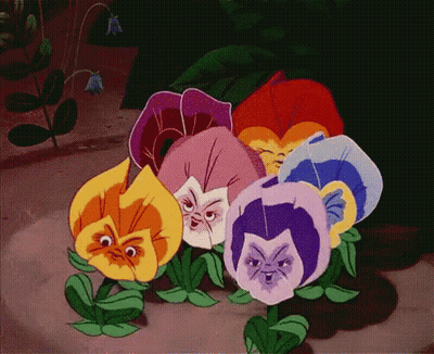 Flowers With Faces Sitting On Ground GIF