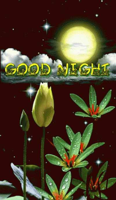 Flowers With Good Night Text GIF