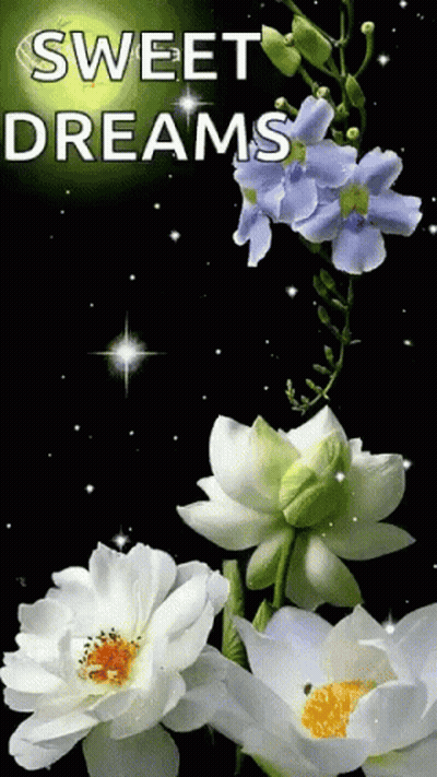 Flowers With Sweet Dreams GIF
