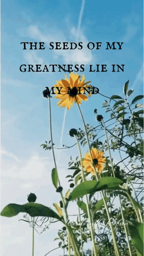 Flowers With The Seeds Of My Greatness Lie In My Mind GIF