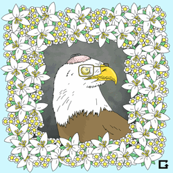 Flowery Frame Bald Eagle GIF