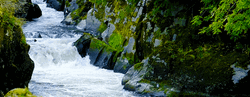 Flowing River Water GIF