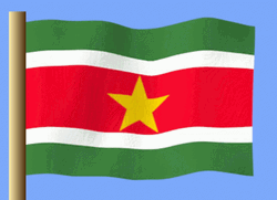 Flowing Suriname Flag