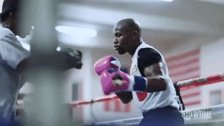 Floyd Mayweather In Sparring Session GIF