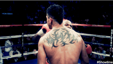 Floyd Mayweather Knocking Out Opponent GIF