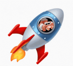 Fluf Fluf World Rocket GIF