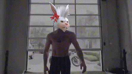 Fluf World Conor Mcgregor Walk GIF