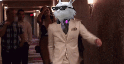 Fluf World Conor Mcgregor Walk GIF