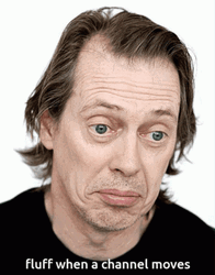 Fluffing Steve Buscemi GIF