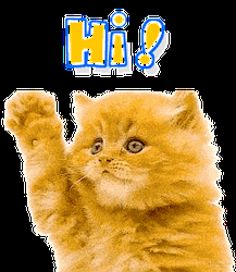 Fluffy Cat Cute Wave GIF