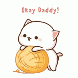 Fluffy Cat Okay Daddy GIF