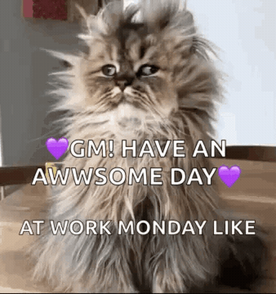 Fluffy Cat Saying Have An Awesome Day GIF