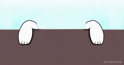 Fluffy Cat Sitting On Table Good Morning Sunshine GIF
