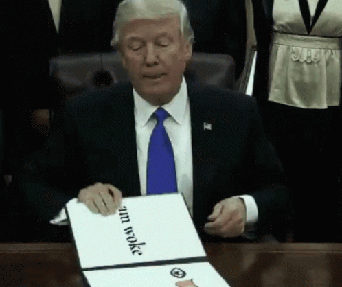 Fluffy Cat Sitting On Wooden Table GIF