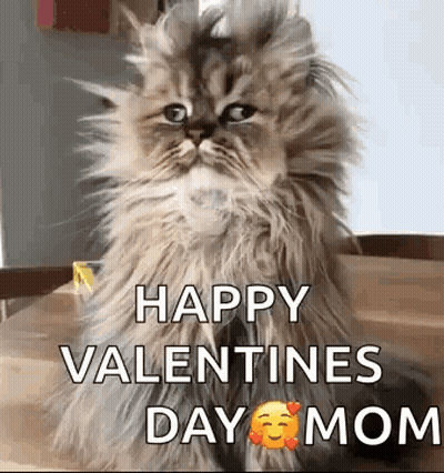 Fluffy Cat Sitting With Happy Valentines Day Mom GIF