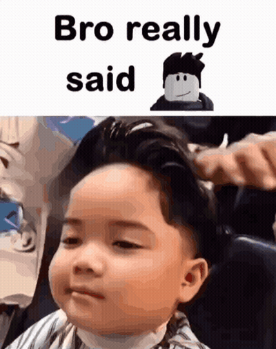 Fluffy Cat Ugh Really GIF