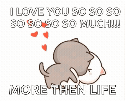 Fluffy Cat Wishing Happy Valentines Day GIF