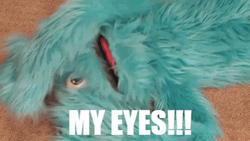 Fluffy Friends My Eyes GIF