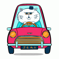 Fluffy White Cat Driving Cartoon