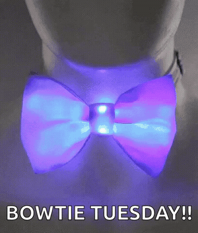 Fluffy White Dog With Red Bow Tie GIF