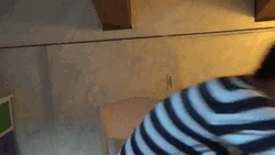 Fluffy White Pet Dog Shy GIF