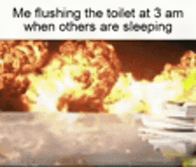 Flushing Toilet At 3 AM Meme GIF