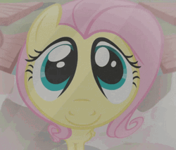 Fluttershy Distorted Face GIF