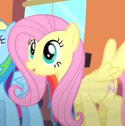 Fluttershy Look Of Amusement GIF