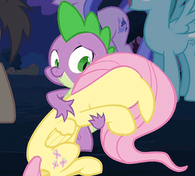 Fluttershy Needs Comfort GIF