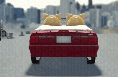 Fluttershy Surrounded By Rabbits And Raccoon GIF