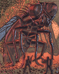 Fly 3D Moving Art Design GIF