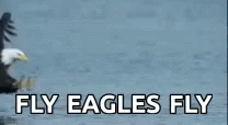 Fly Eagles Fly Eagle Catching Fish GIF