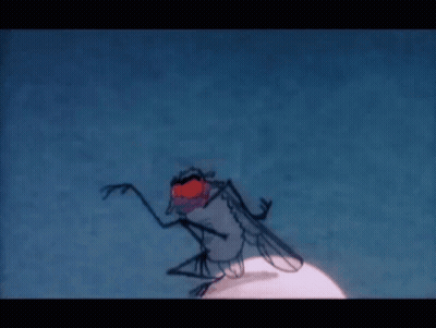 Fly With Red Eyes GIF