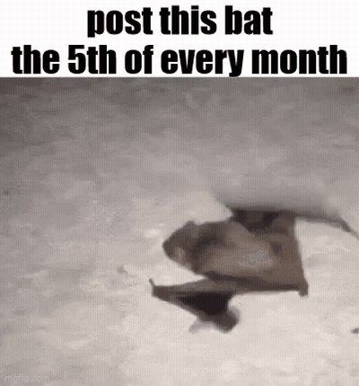 Flying Bat With Post Reminder GIF