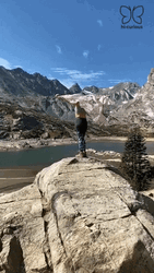 Flying Butterfly Cliff Hi Curious GIF