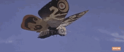 Flying Butterfly Inoshiro Honda Turner Classic GIF
