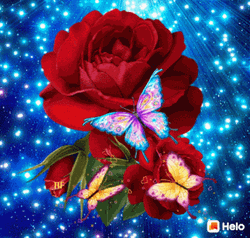 Flying Butterfly Rose Starry GIF