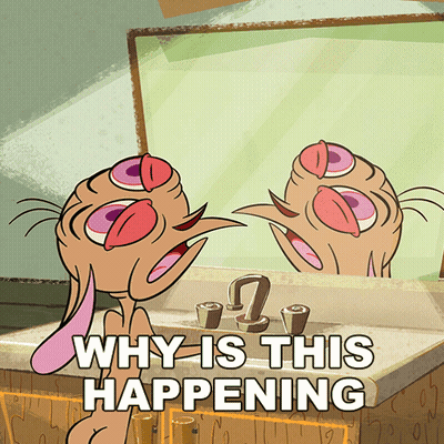 Flying Cat Looking At Camera GIF
