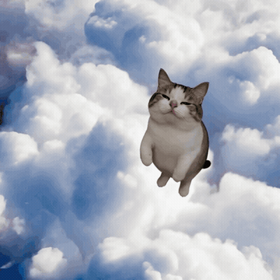 Flying Cat Looking At Camera GIF