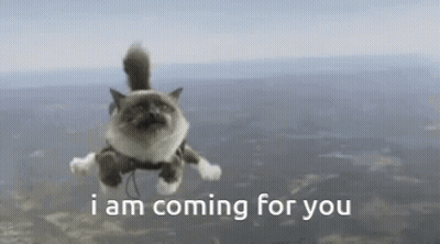 Flying Cat Saying I Am Coming For You GIF