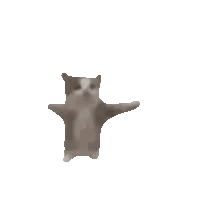 Flying Cat With Outstretched Arms Sticker