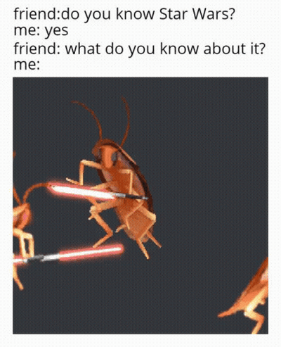 Flying Cockroach With Light GIF