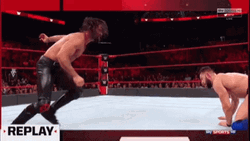 Flying Curb Stomp Of Seth Rollins GIF