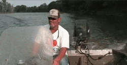Flying Fish Funny Fishing GIF