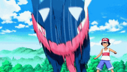 Flying Greninja  GIF